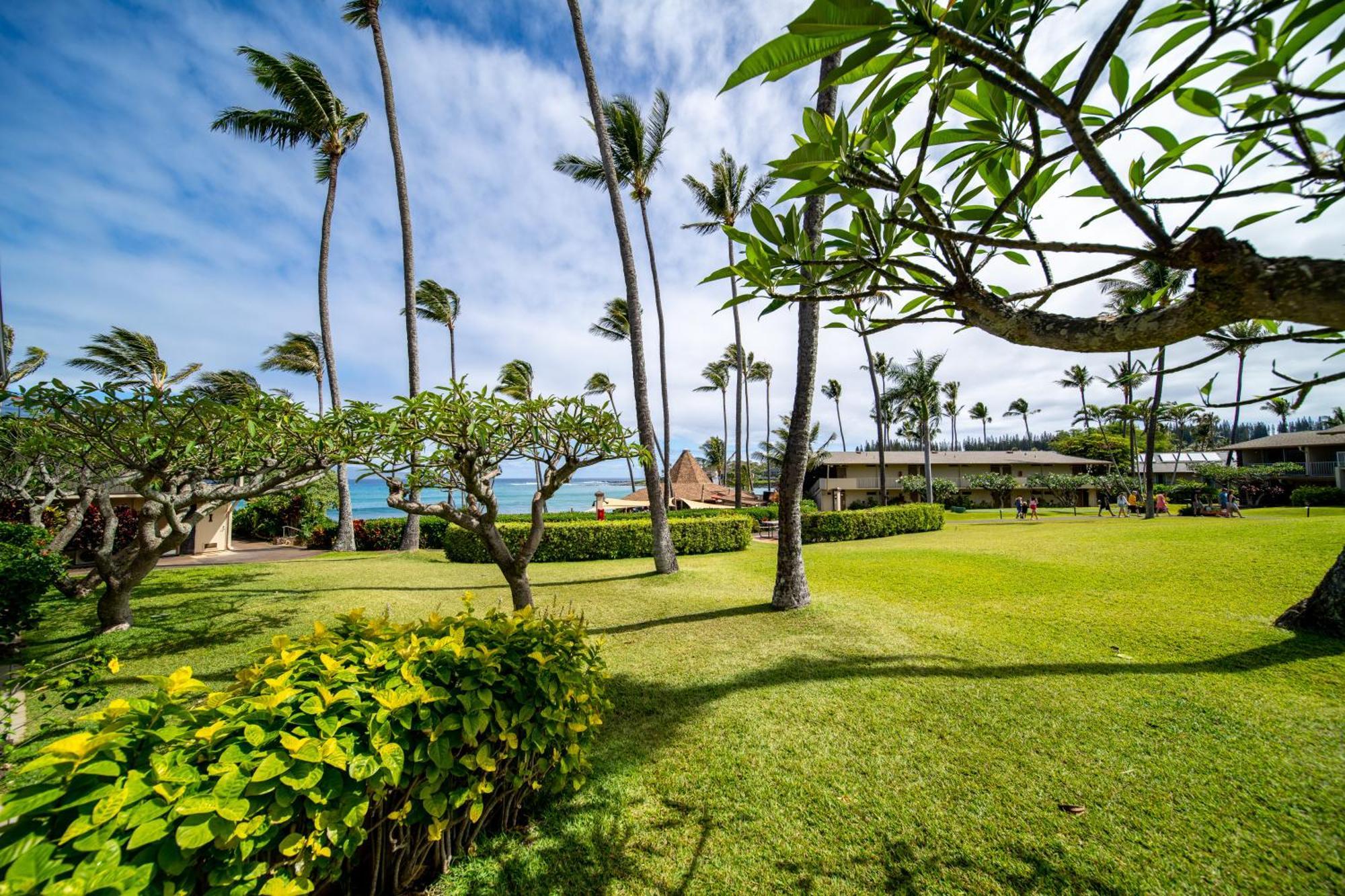 Napili Shores Maui By Outrigger - No Resort & Housekeeping Fees Lahaina Værelse billede